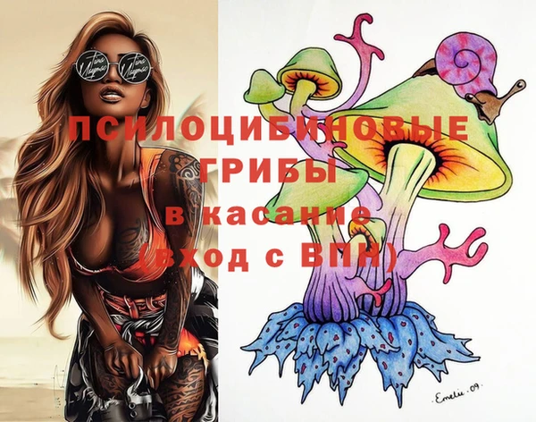 гидропоника Абинск