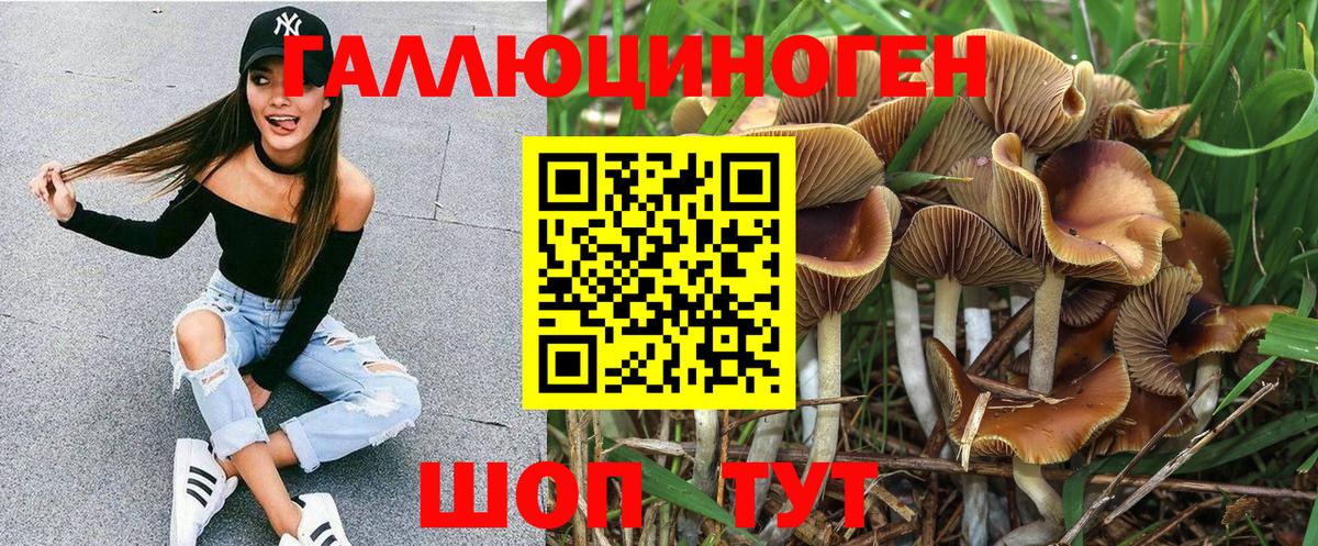 Орск  Галлюциногенные грибы Cubensis  Вход с VPN  купить  цена  Псилоцибиновые грибы Cubensis 