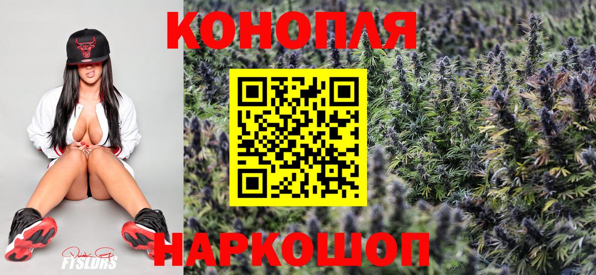 Бошки Шишки сатива Орск